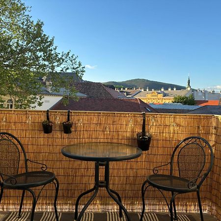 Zum Breyer Bnb City Apartment Баден Екстериор снимка